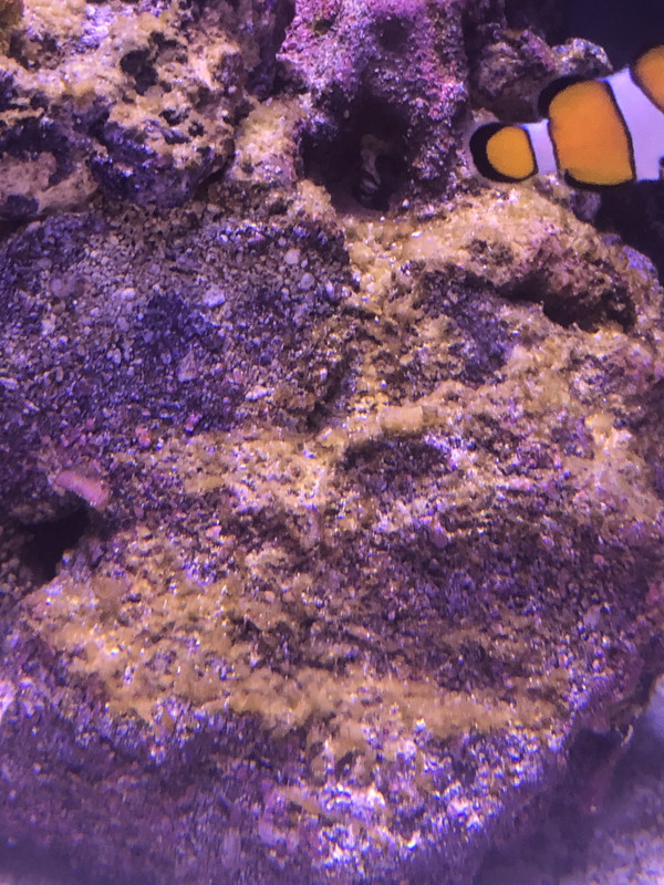 4CB70153-7BE4-4944-9E1B-62B752A3E0AB