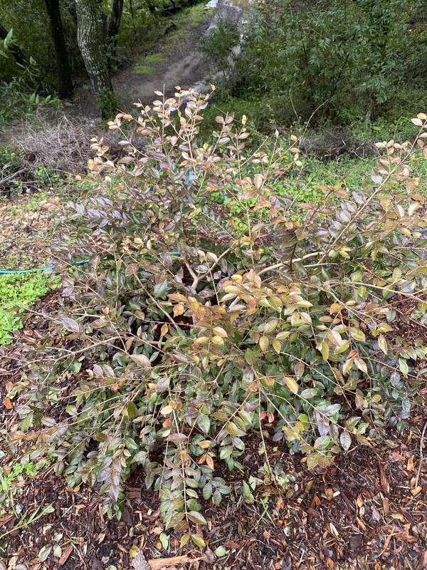 4E6FE5F2-7DB3-4B7A-BD63-6C6CD194A007