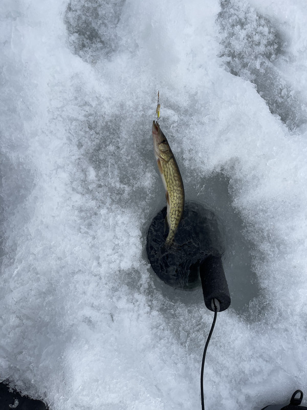 D54D4288-84D2-473A-A80D-8B04F1CFD1D3