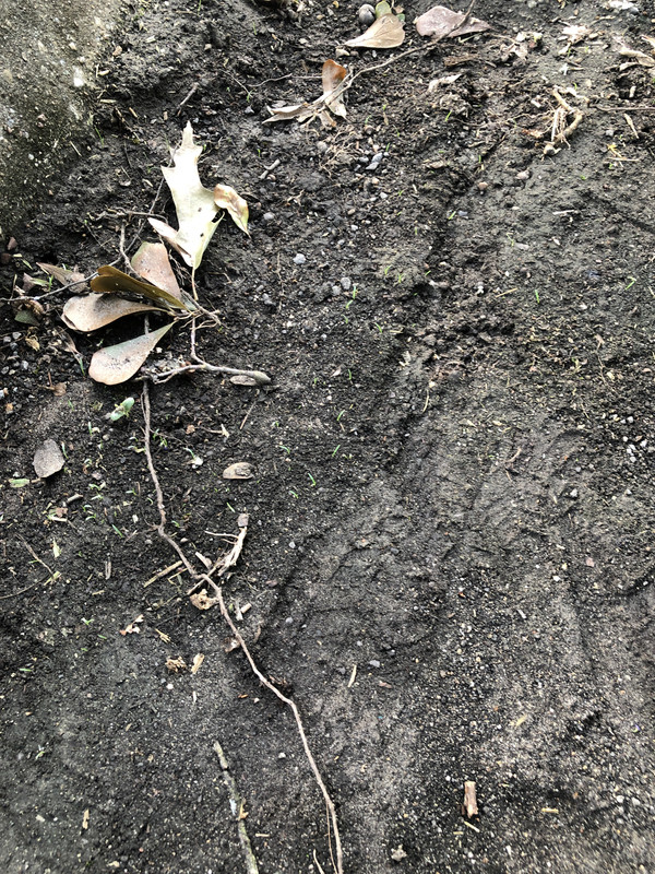 EB6D183F-AAEB-40B7-808B-74C9DE90C0E0