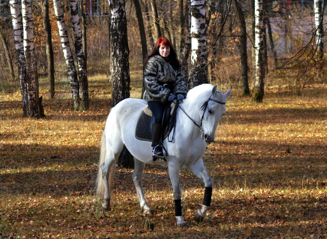 Елена23