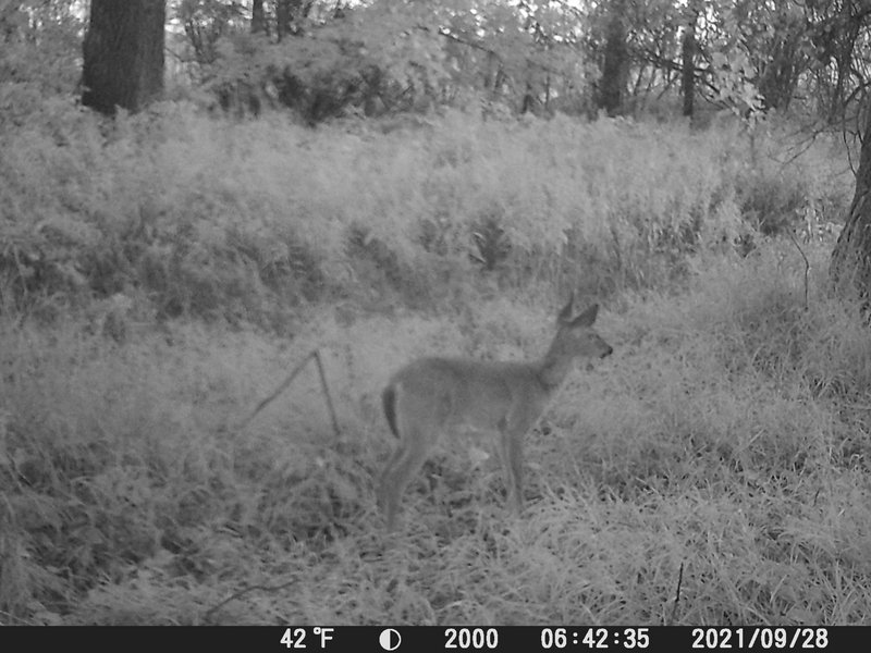 784020F4-F6FB-4DCF-92F2-836E68CFFDE2