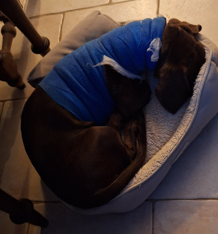 [Image: 20250917-202246.jpg]