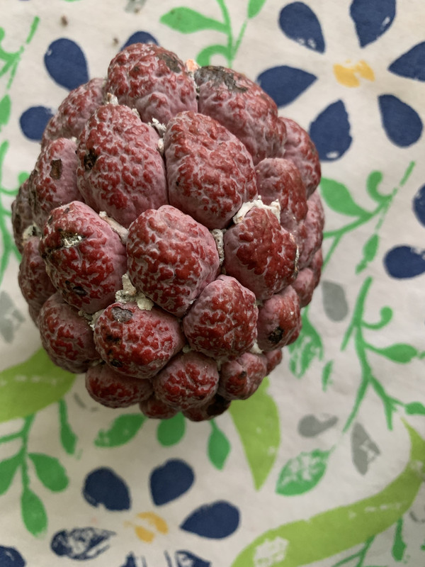 5EC96E8F-D469-4F3D-BD44-12023B8902FC