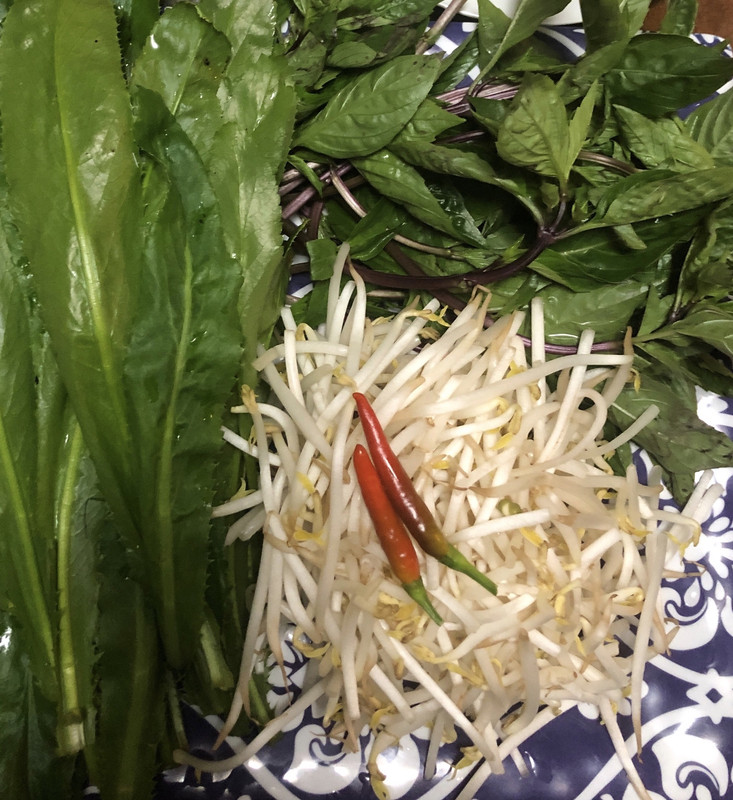 239A9837-8809-4D3E-9D69-3362B6A227C8