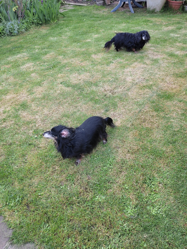 [Image: IMG-20220414-171845.jpg]