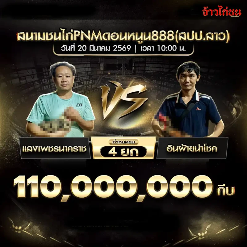 โปรแกรมไก่ชน คู่แสงเพชรนาคราช พบ อินฝ้ายนำโชค สนาม PNM ดอนหนูน888