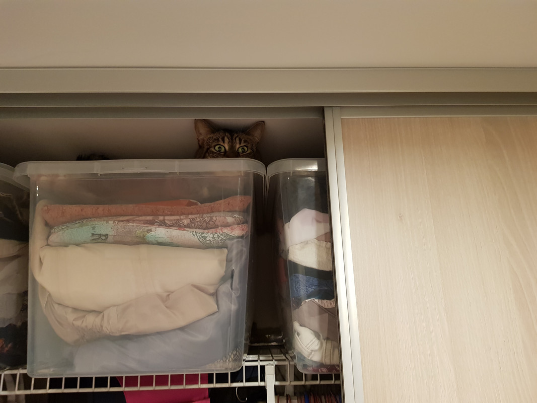 20190221-063229.jpg