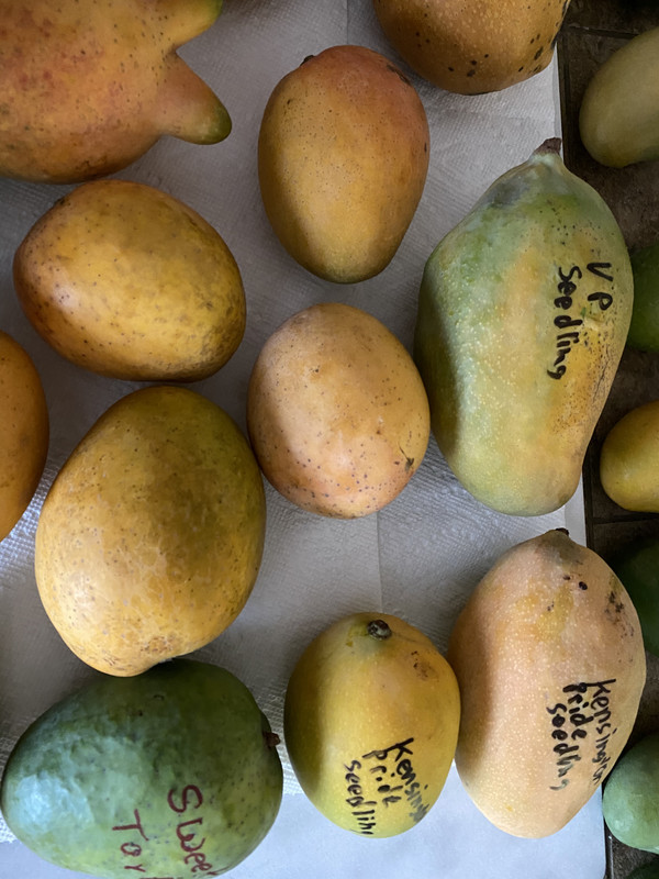 E40D0309-B4DB-4295-A4D8-55B3A260433B