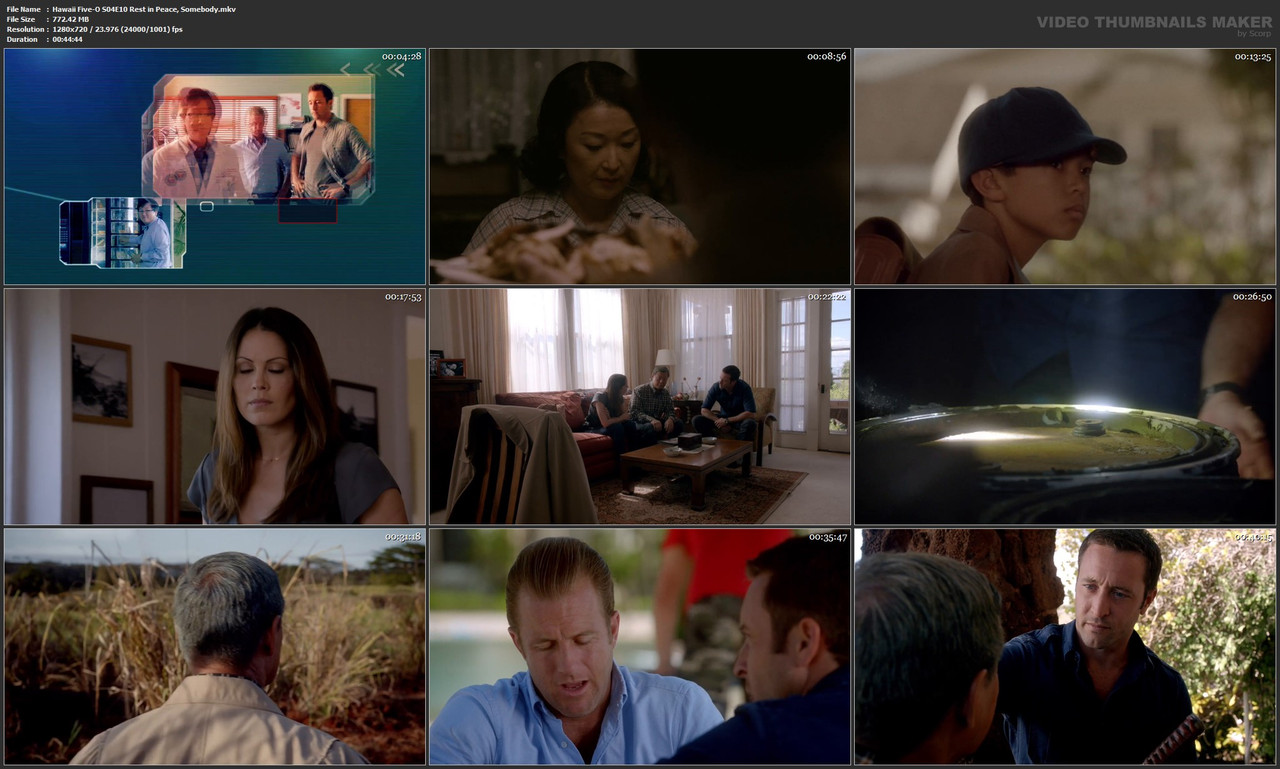 Hawaii Five-O S04E10 Rest in Peace, Somebody.mkv