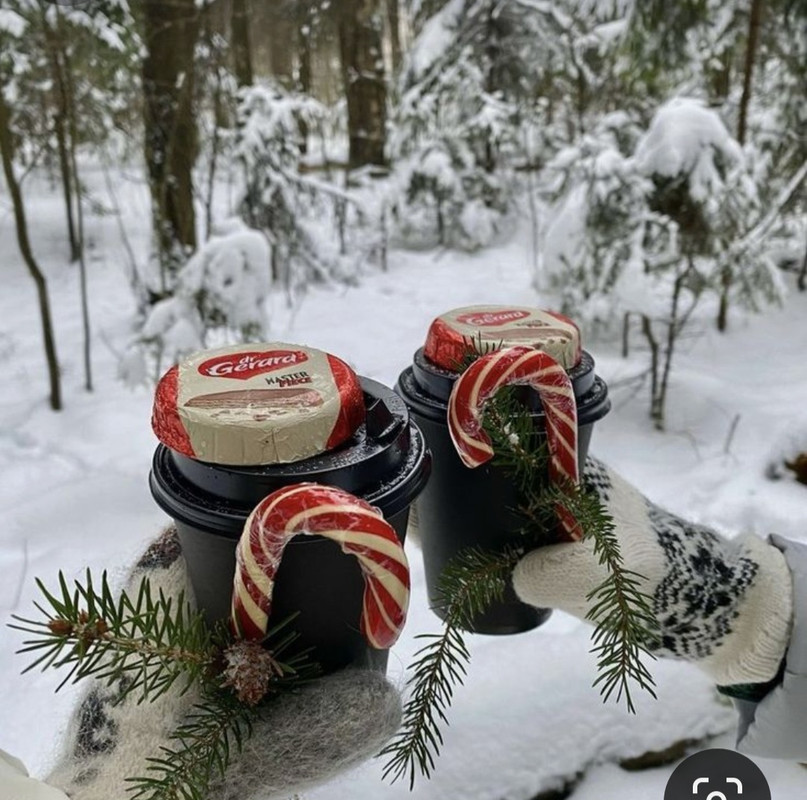 Screenshot_20231222_105821_Pinterest