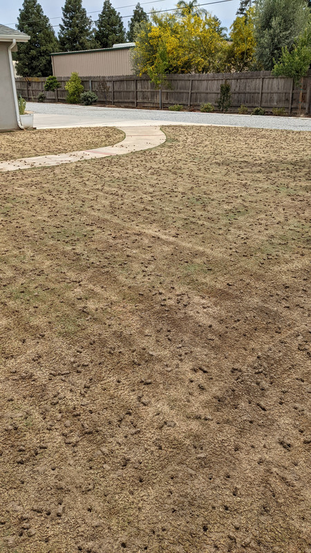 PXL_20220527_201546546