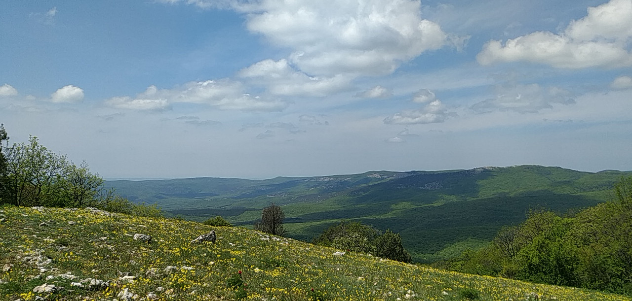 PANO_20190514_131240