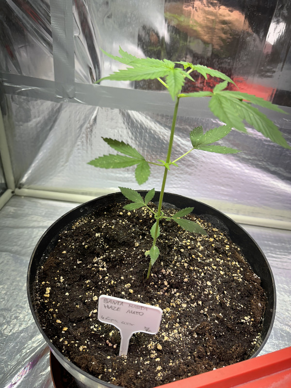 4CC555F6-63DE-433A-938F-9E0BEA6A4678