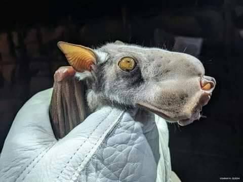 ���� ���� ������ �� ���� ������