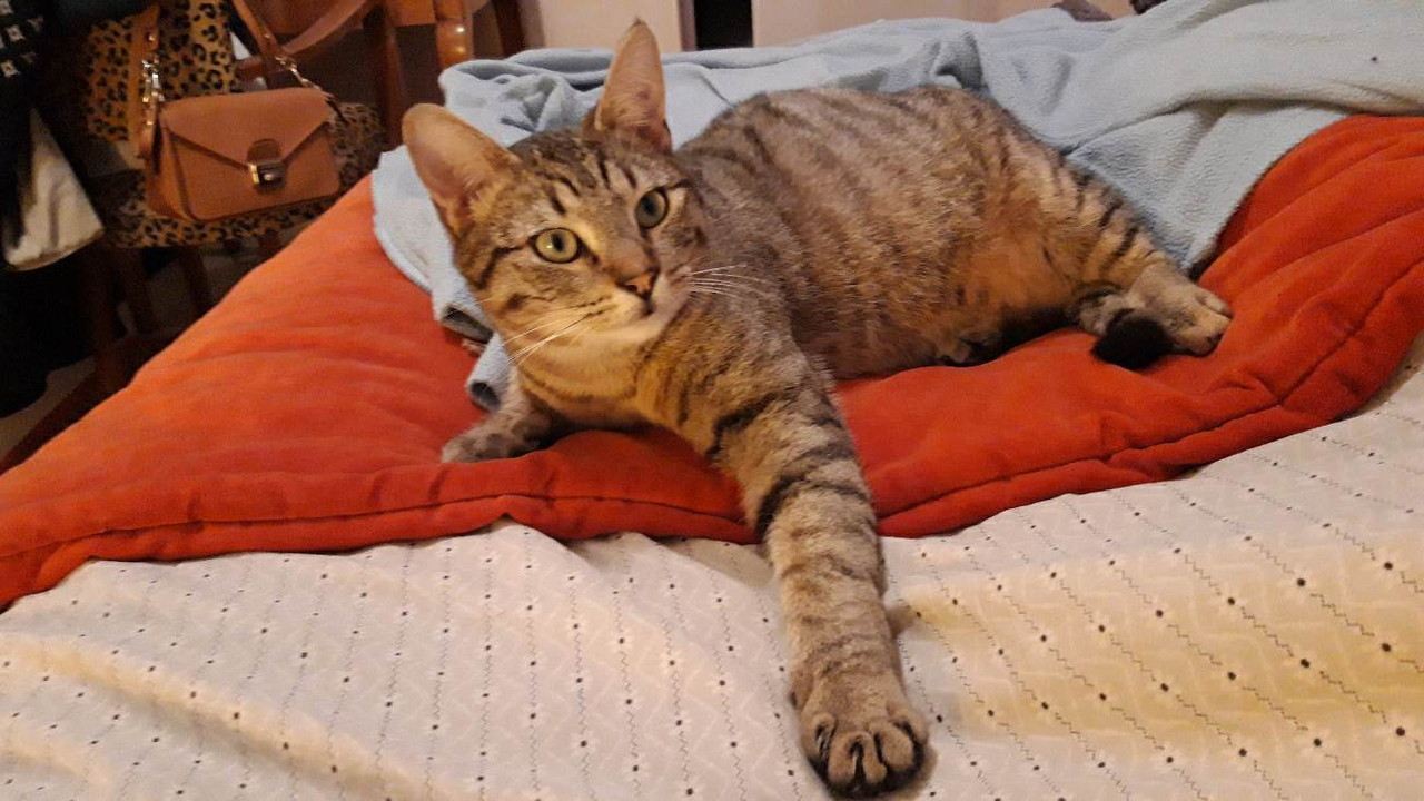 received_1344837942756587