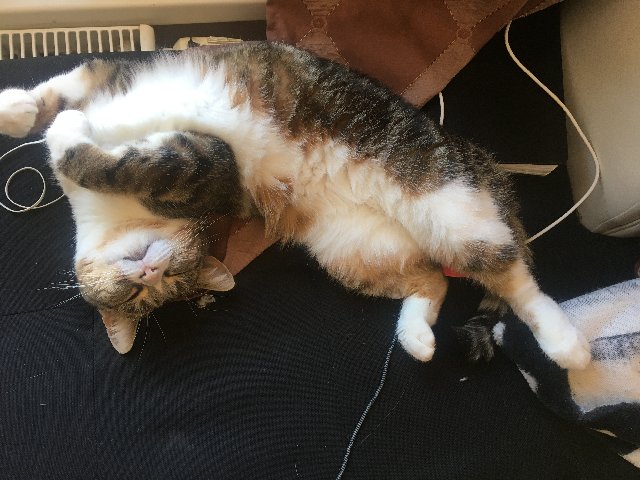 F89-D2486-AFEA-4-E85-B181-456498-AB450-D