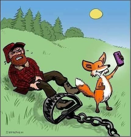 text alternatif