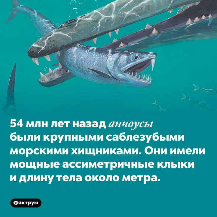 [Изображение: 77ef65c97f7501385ba00123fc24bd2a.jpg]