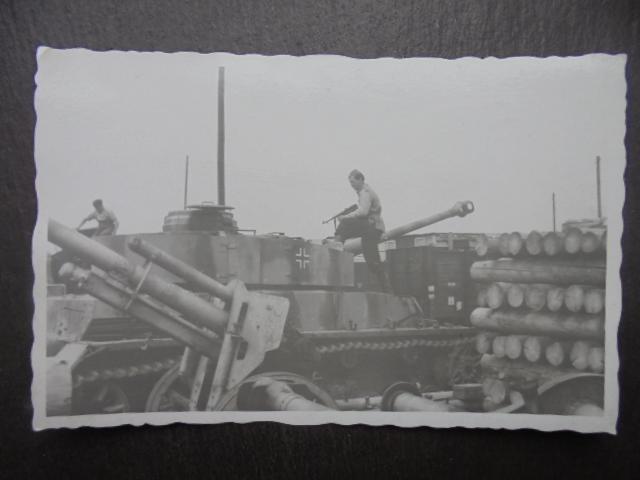 02A dobove-foto-91347102