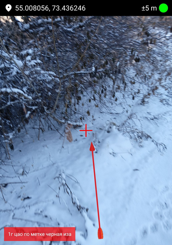 photo 25 2025 11 04 07 01 41