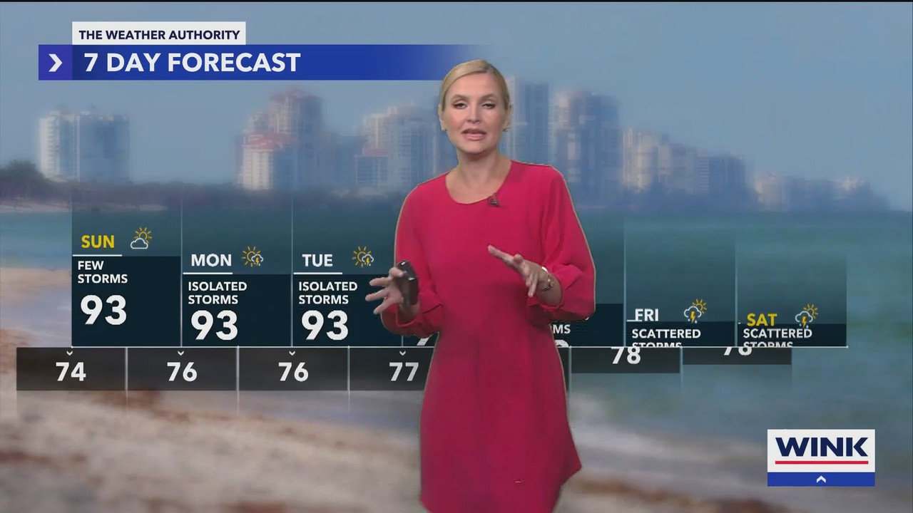 WINK News at 11_20240922_04000500.ts_snapshot_00.17.42.981