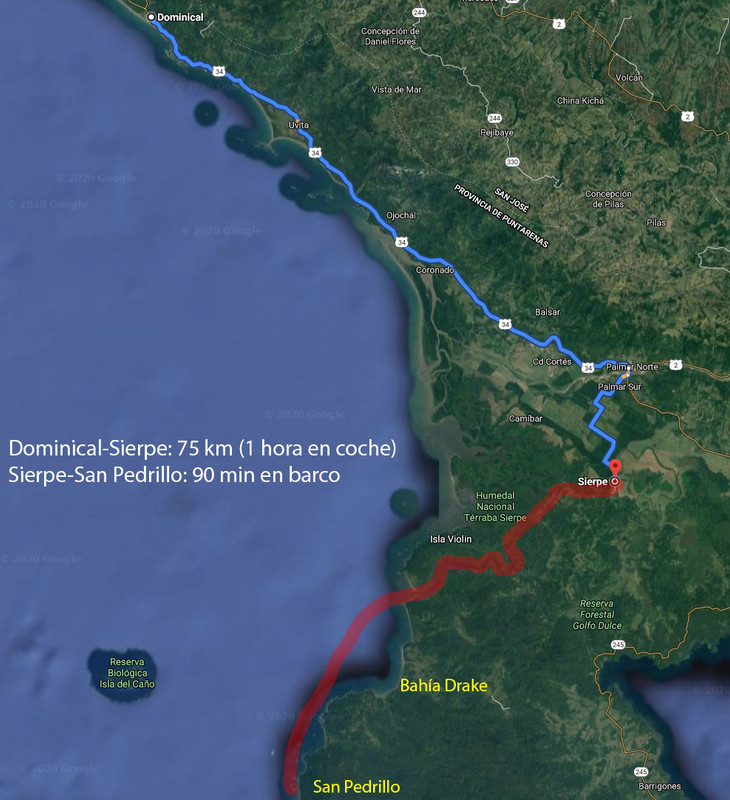 DIA 13: EXCURSIÓN DE UN DÍA A CORCOVADO - DE TORTUGAS Y PEREZOSOS. COSTA RICA 2019 (3)