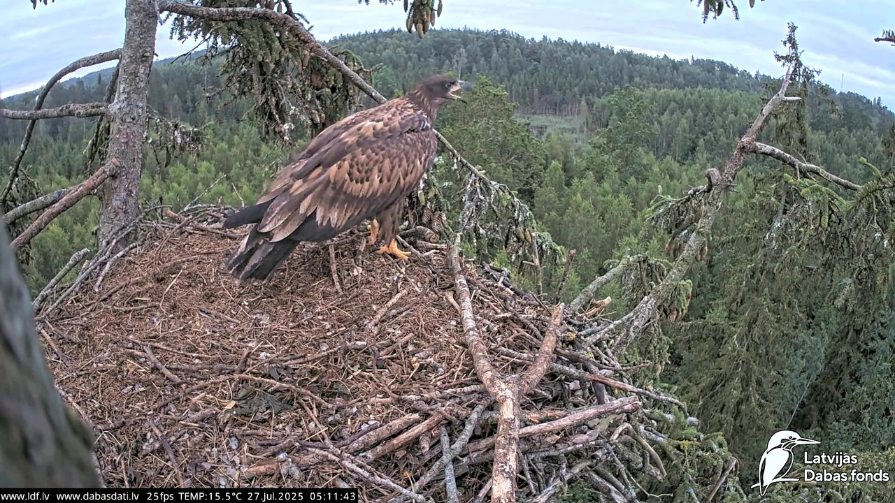 vlcsnap-2025-07-27-04h45m19s876