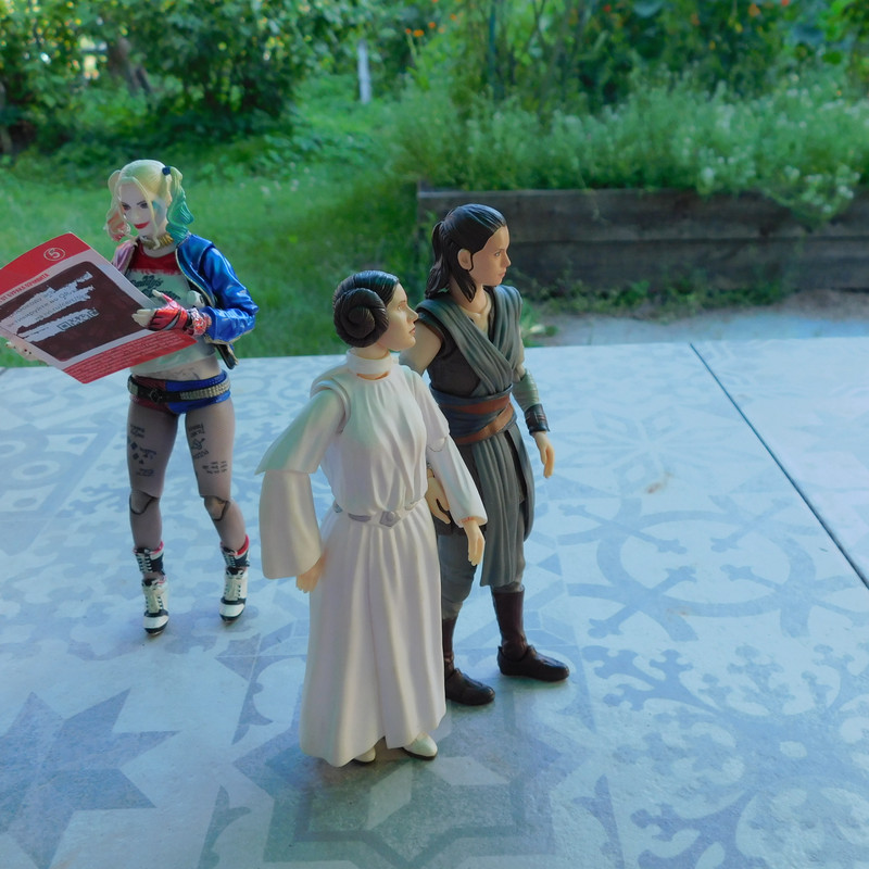 Весенняя московская ночь, дача Харли н ачало 2025 082