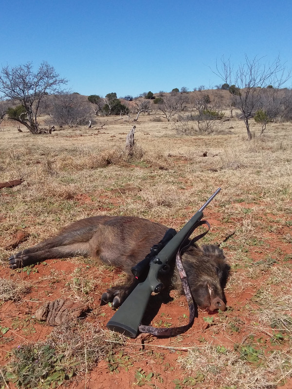 DB275069-A243-49EE-A1A4-B431F5CFCE6B