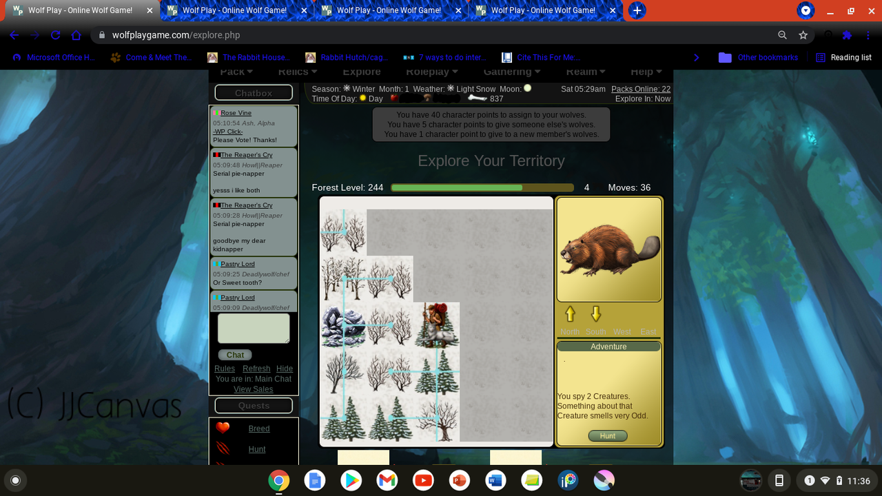 Screenshot-2021-08-07-11-36-20-AM.png