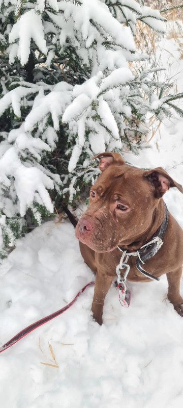 AC48414E-187F-4AAB-A5CF-8DD05BE11230