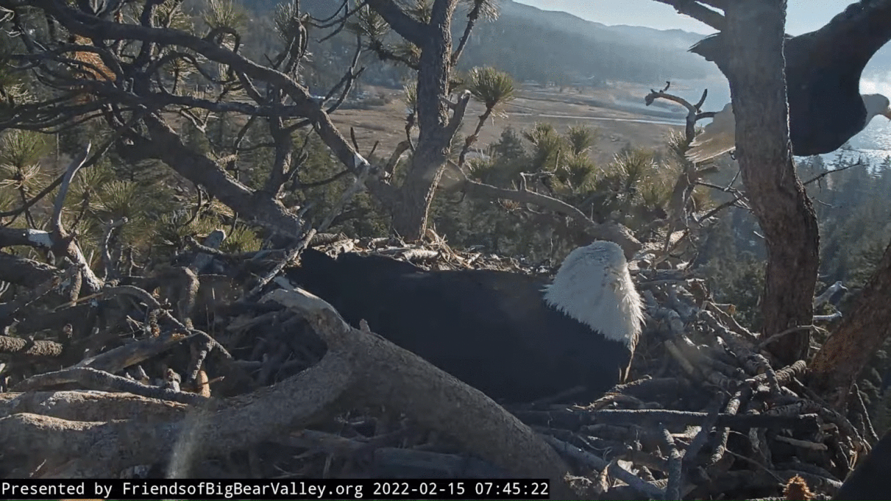 Webp.net-gifmaker (7)