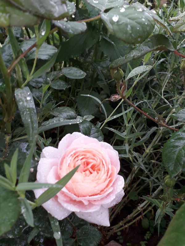 20190524_092606
