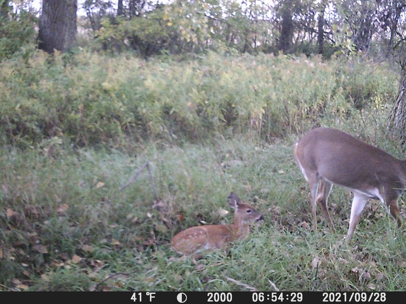 68041A79-F528-4696-A84B-2E3C5D304B82