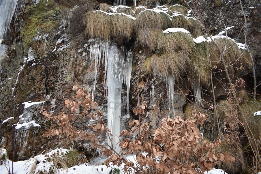 DSC 1142 renamed 12858