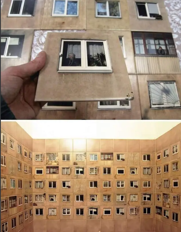 Screenshot_20241229-225344~2