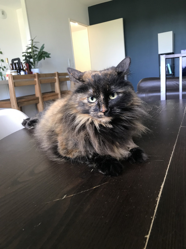 A3DE4776-E8AC-4EE8-AFC3-F4AA82A37CF7