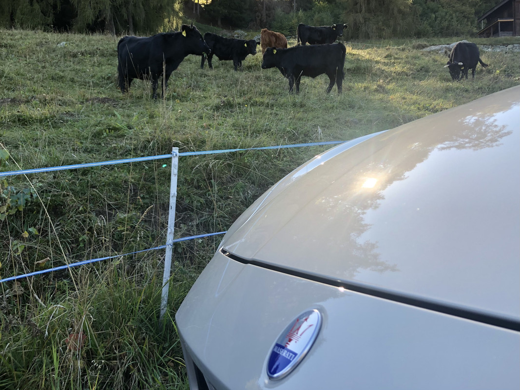 DAB23D9A-A60F-45E5-BD74-5F6862148F8F