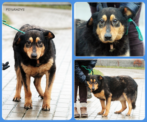 BeFunky-collage (18)