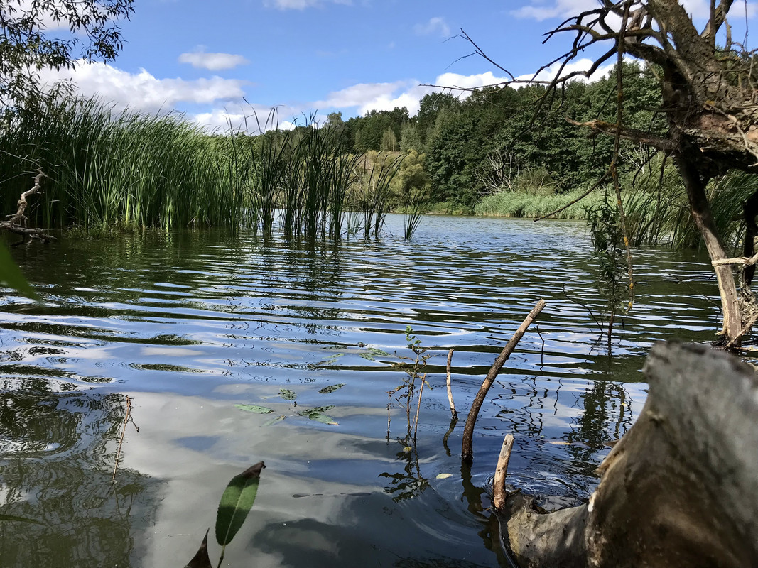 362B9530-B7F2-4D44-8EBB-156466A064E9