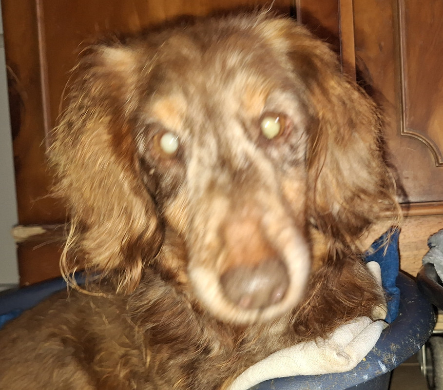 [Image: 20240313-112508.jpg]