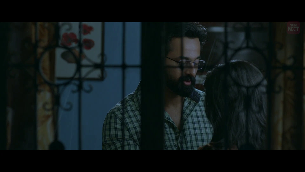 vlcsnap 2026 02 11 15h29m12s250