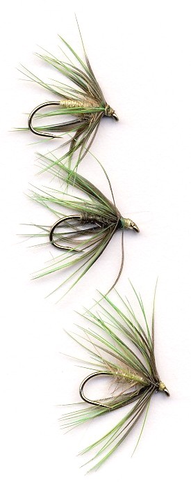 Parrot Soft Hackles