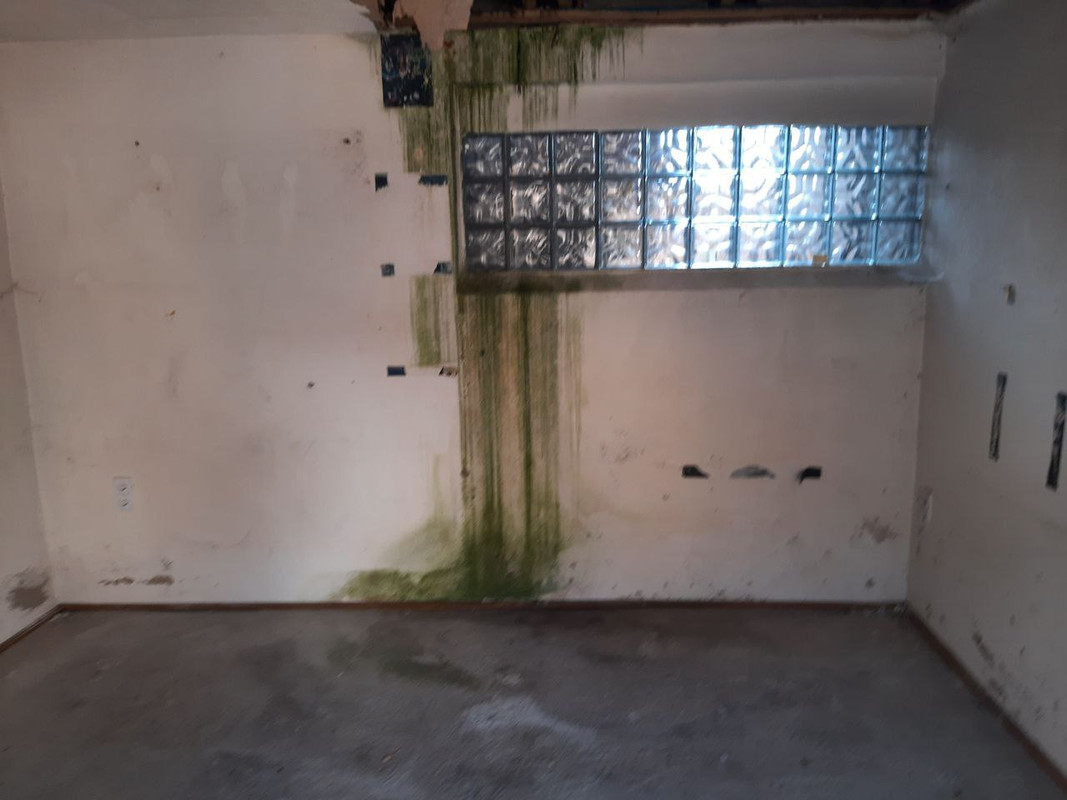 D513B5FA-4615-402D-81FA-7A70D36A53D4