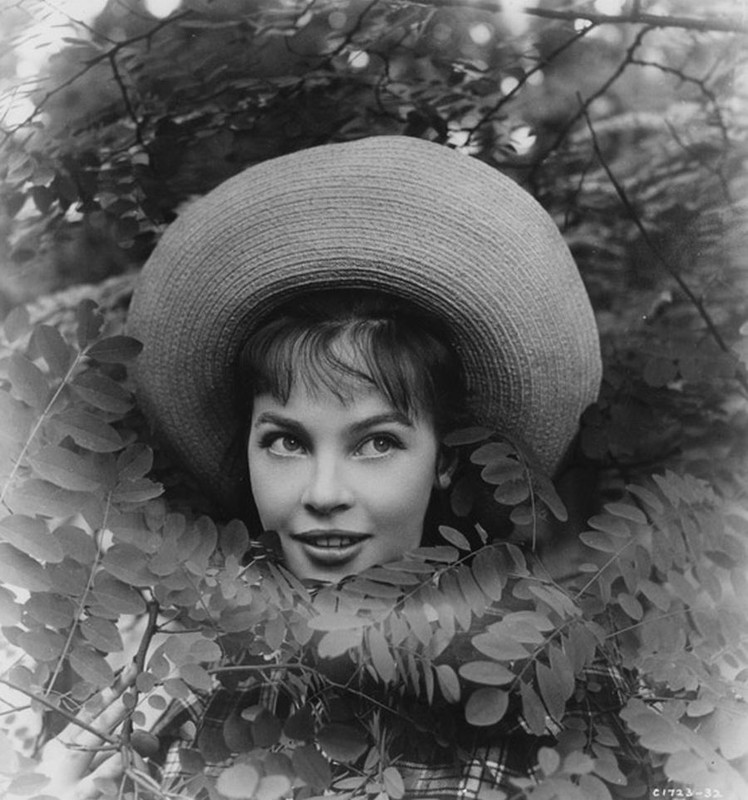 leslie_caron_ma99