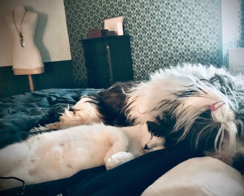 Screenshot_20230306-162535_Email