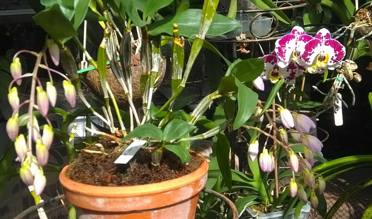 05bf4e78-7ff1-4f7b-8004-13c16d1409ef (2)