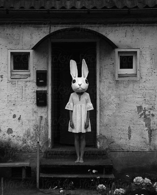 Screenshot_20231214_185128_Pinterest