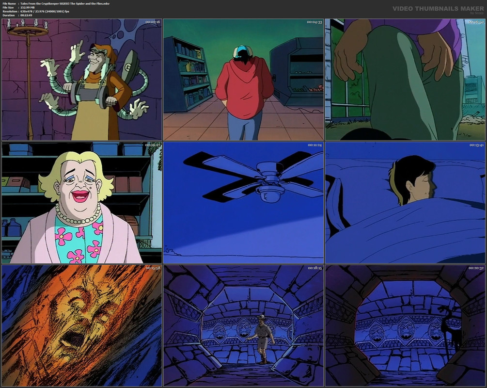 Tales From the Cryptkeeper S02E03 The Spider and the Flies.mkv